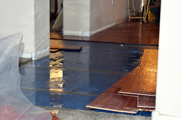 Professional Water Damage Restoration technician working in Auburn, ME